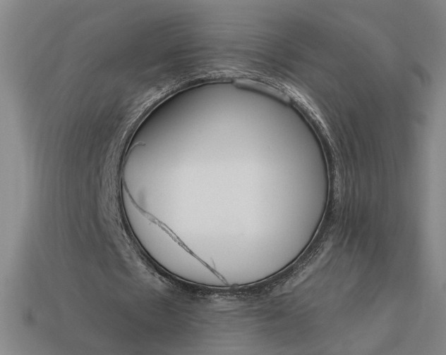 X0000113130481200909181712