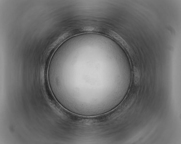 X0000113130482200909181712