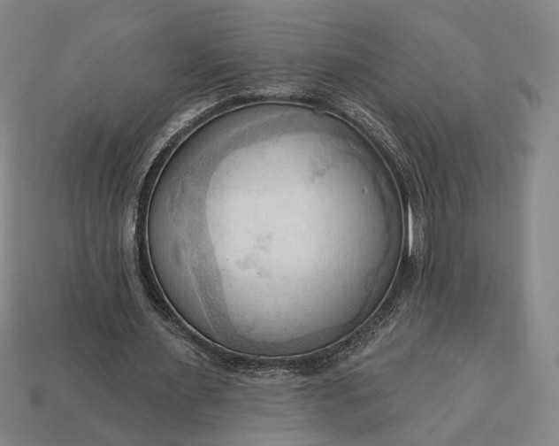 X0000113130483200909181712