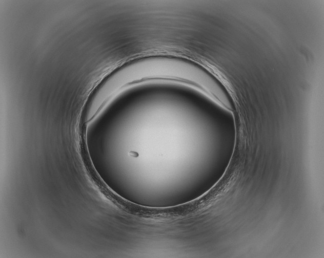 X0000113130485200909181712