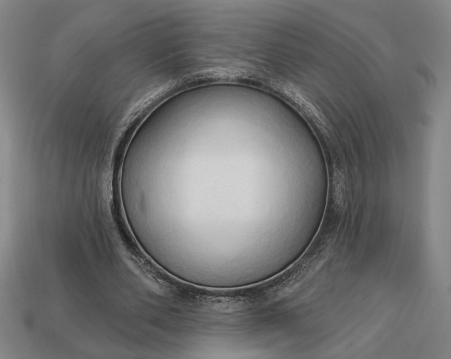 X0000113130486200909181712