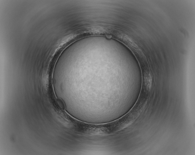 X0000113130488200909181712