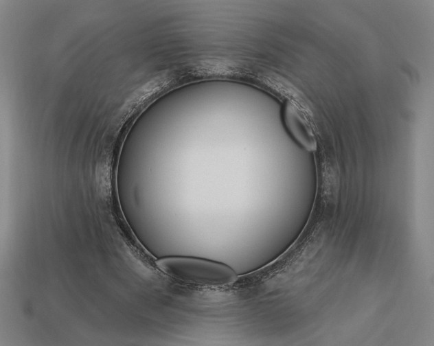 X0000113130489200909181712