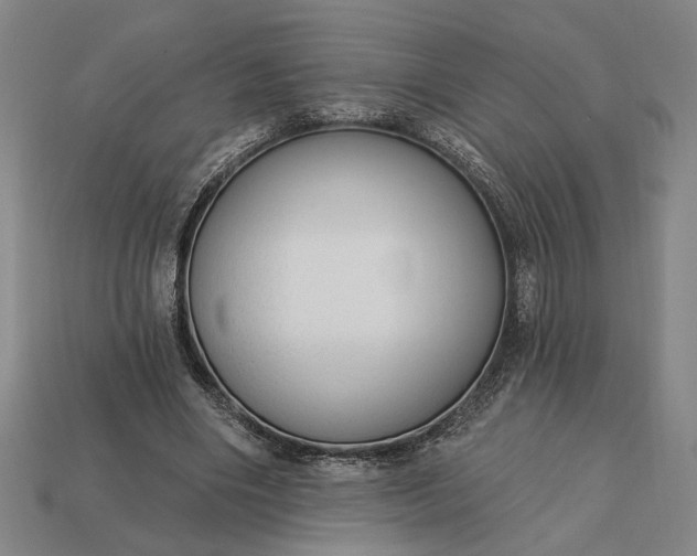 X0000113130490200909181712