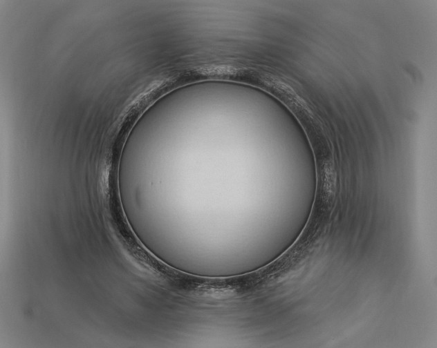 X0000113130491200909181712