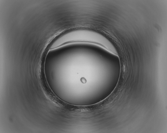 X0000113130492200909181712