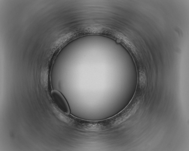 X0000113130493200909181712