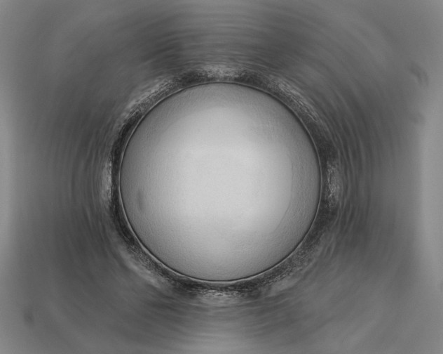 X0000113130494200909181712