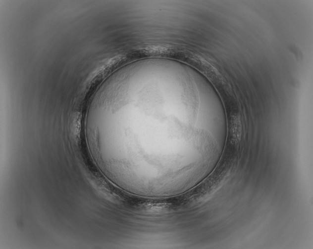 X0000113130495200909181712