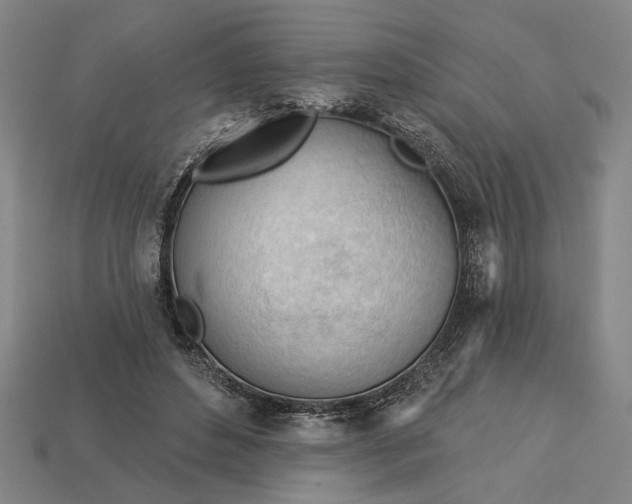 X0000113130496200909181712