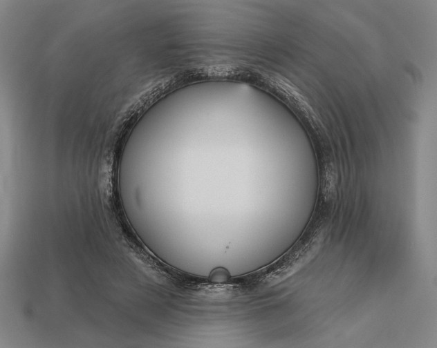 X0000113130497200909181712