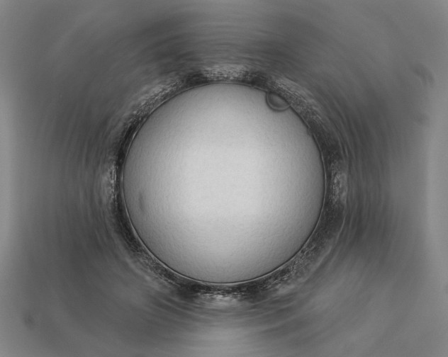 X0000113130498200909181712