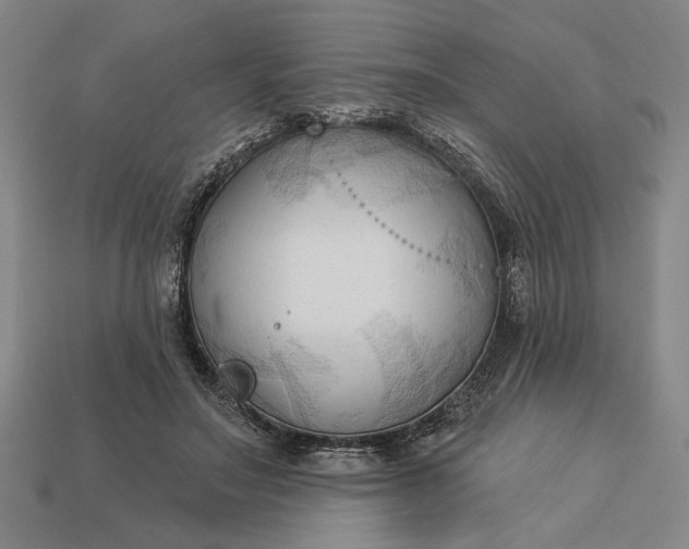 X0000113130499200909181712