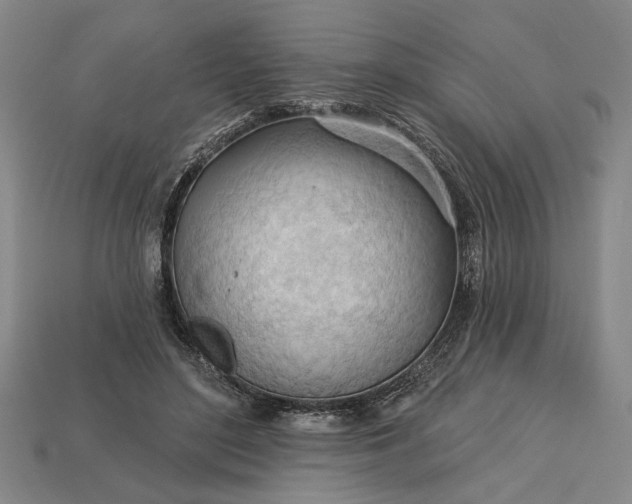 X0000113130500200909181712