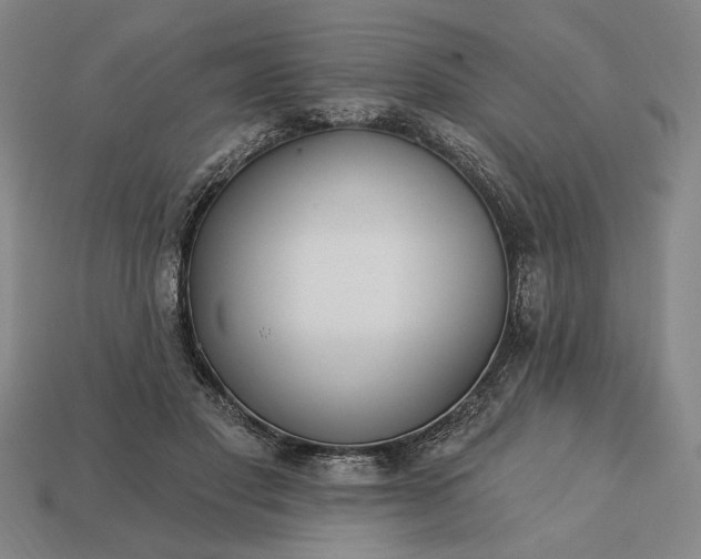 X0000113130501200909181712