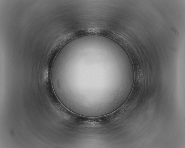 X0000113130502200909181712