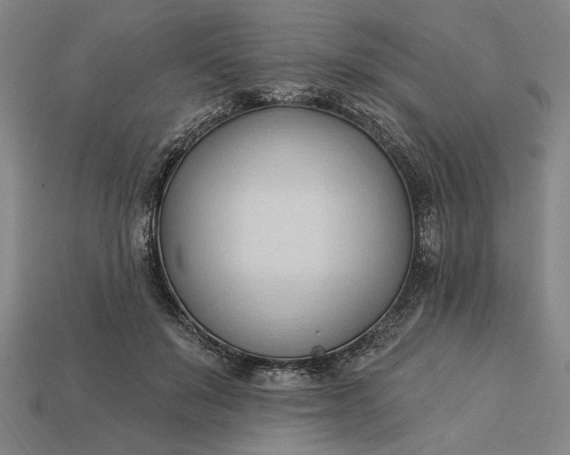 X0000113130503200909181712