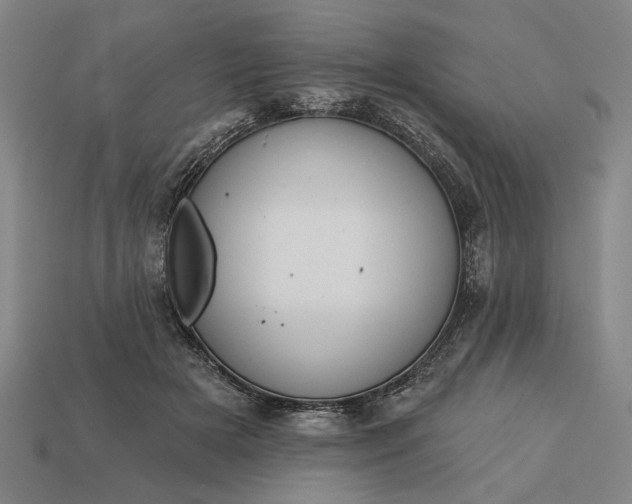 X0000113130505200909181712