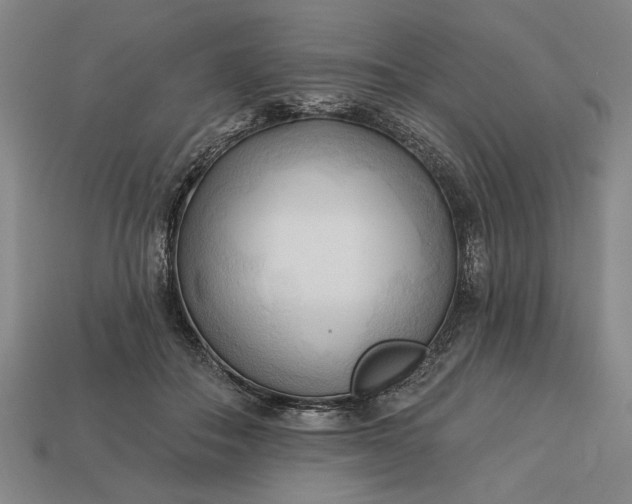 X0000113130506200909181712