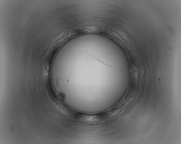 X0000113130507200909181712