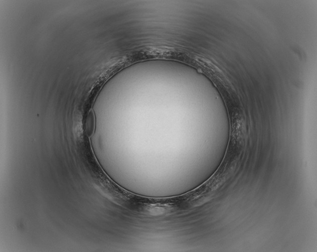 X0000113130508200909181712