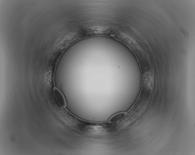 X0000113130509200909181712