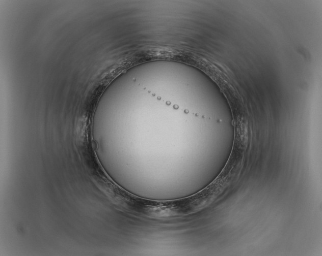 X0000113130511200909181712