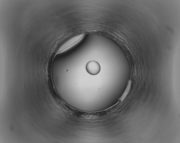 X0000113130512200909181712