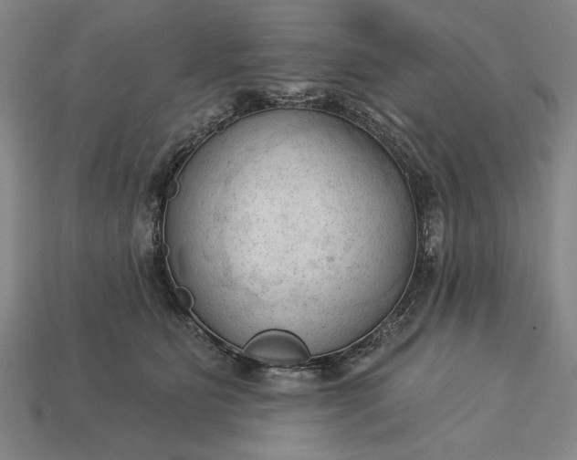 X0000113130515200909181712