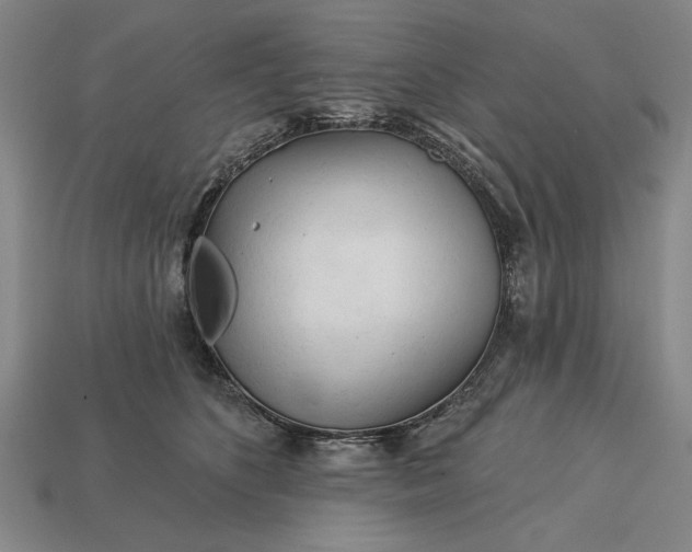 X0000113130516200909181712