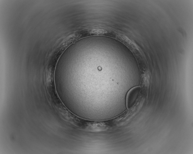 X0000113130517200909181712