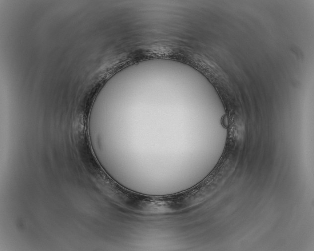 X0000113130518200909181712