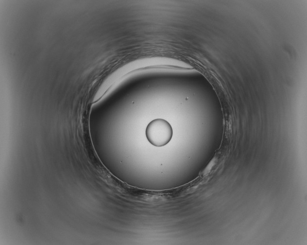 X0000113130520200909181712