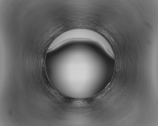 X0000113130521200909181712