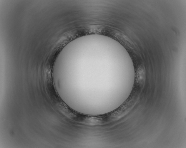 X0000113130522200909181712