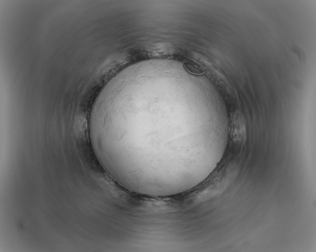 X0000113130523200909181712