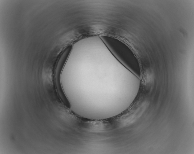 X0000113130524200909181712