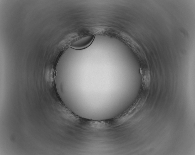 X0000113130525200909181712