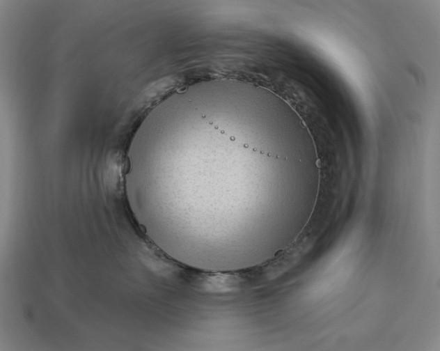 X0000113130527200909181712