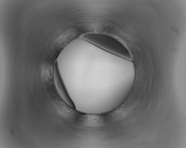 X0000113130528200909181712