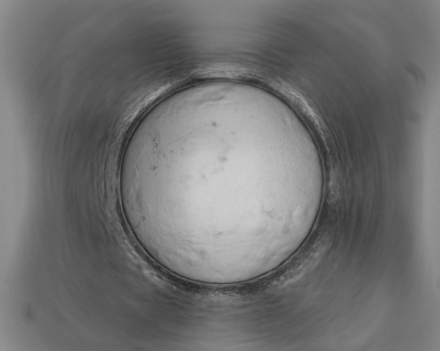 X0000113130529200909181711