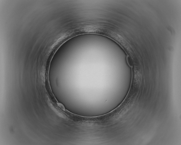 X0000113130530200909181711