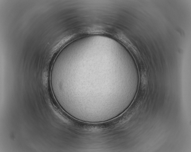 X0000113130533200909181711