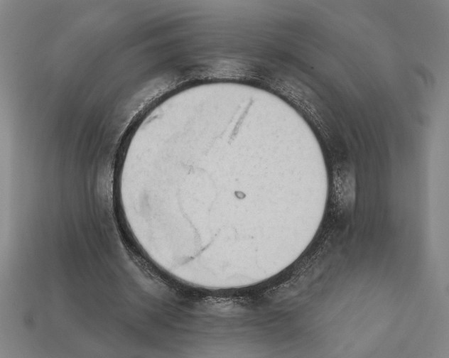 X0000113130534200909181711