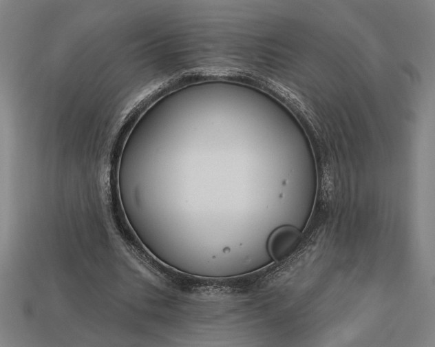 X0000113130535200909181711