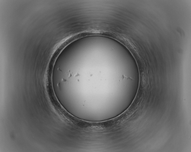 X0000113130536200909181711