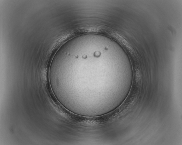 X0000113130537200909181711