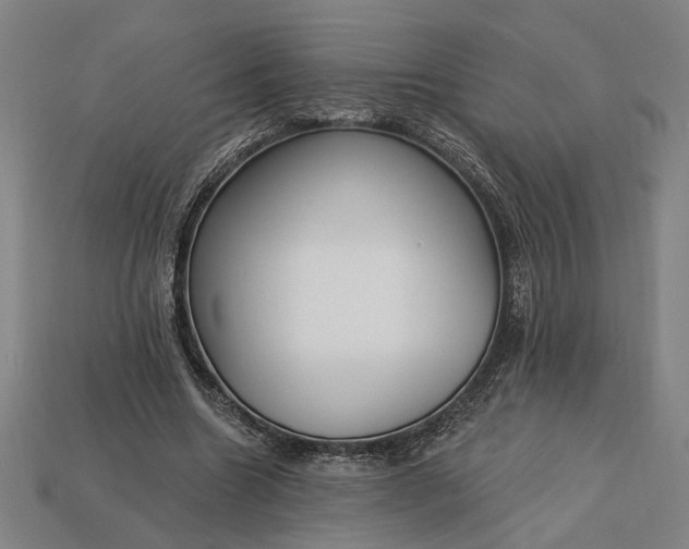 X0000113130538200909181711