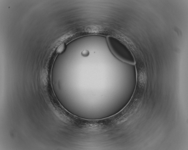 X0000113130540200909181711