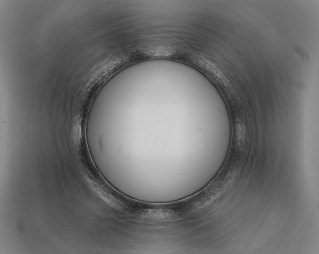 X0000113130541200909181711